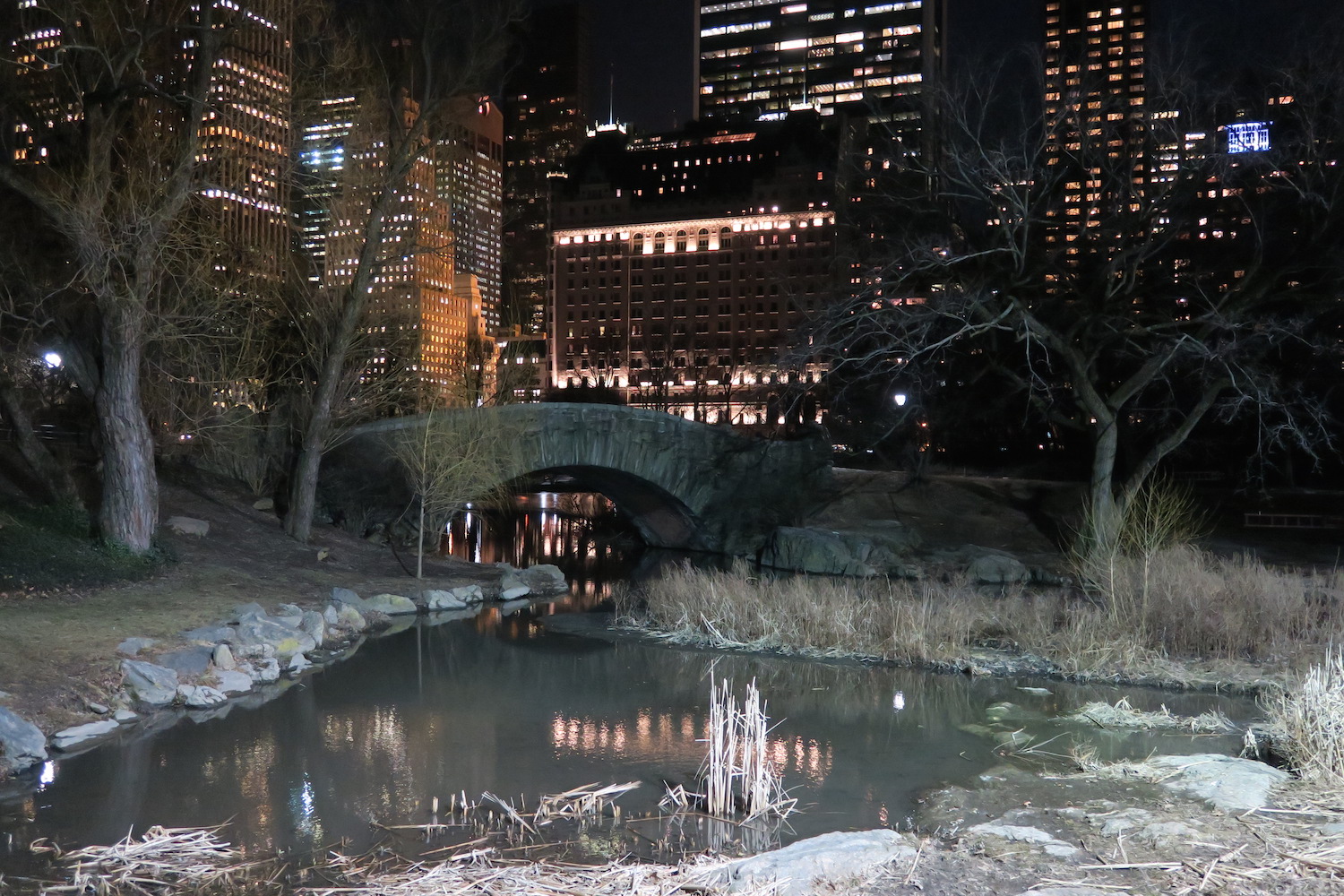 is-central-park-safe-at-night-perfect-little-planet