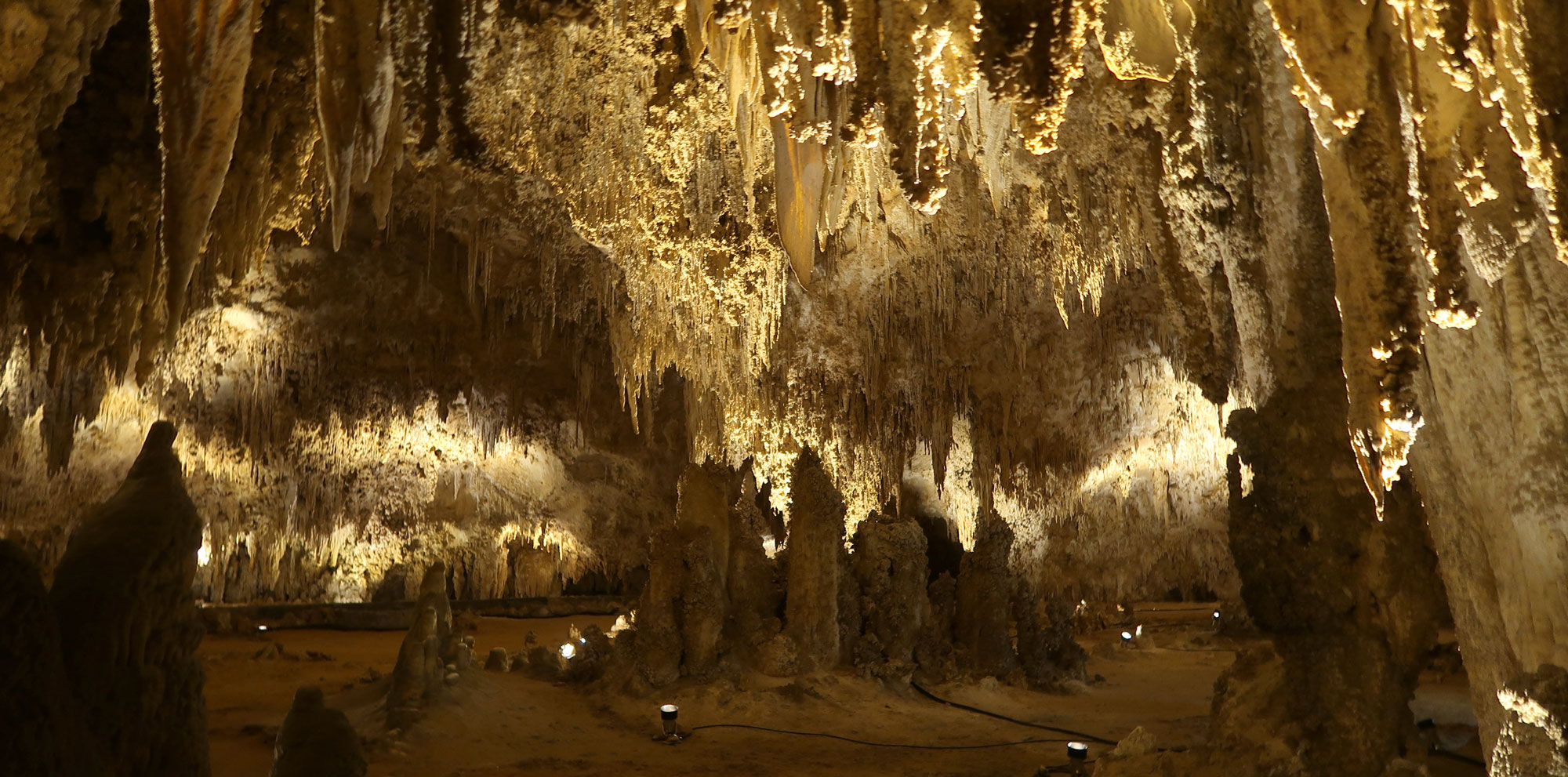 Tips for the (Amazing) Carlsbad Caverns